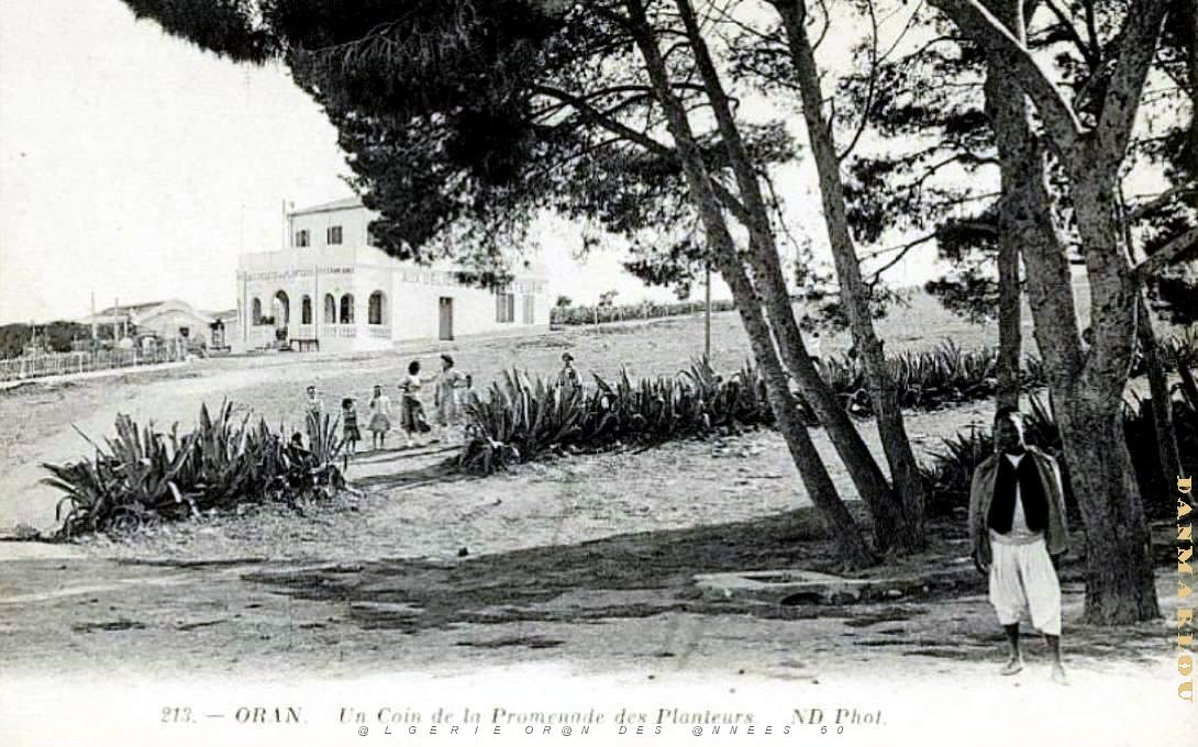 G 024- Planteurs.jpg